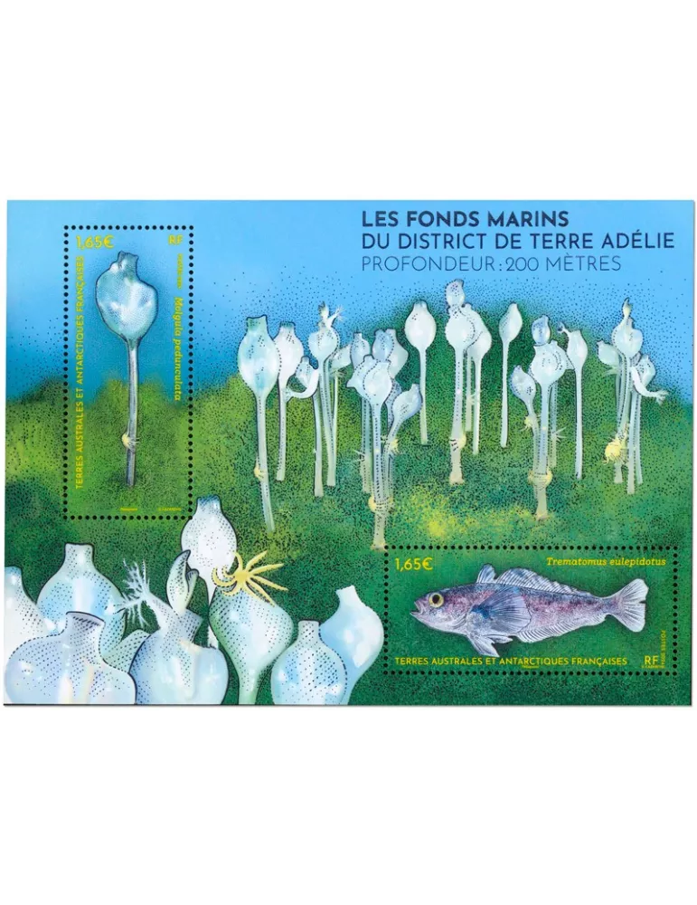 n° F1081 - Timbre TAAF Poste