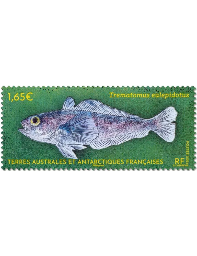 n° F1081 - Timbre TAAF Poste