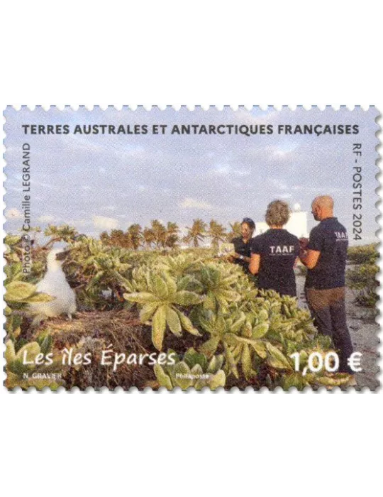 n° F1089 - Timbre TAAF Poste