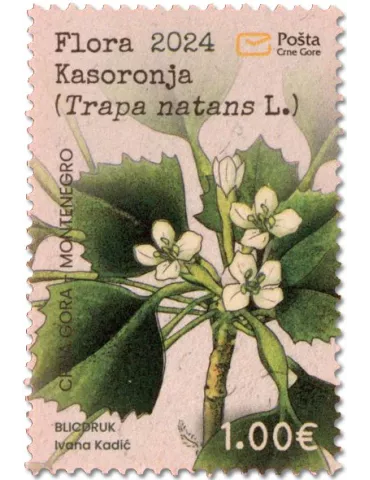 n° 514 - Timbre MONTENEGRO Poste