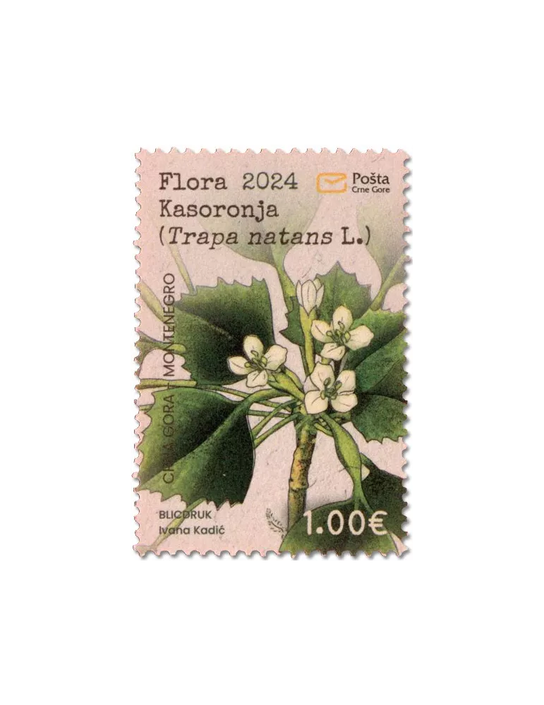 n° 514 - Timbre MONTENEGRO Poste