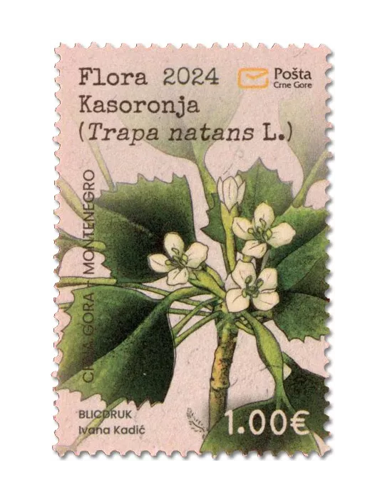 n° 514 - Timbre MONTENEGRO Poste