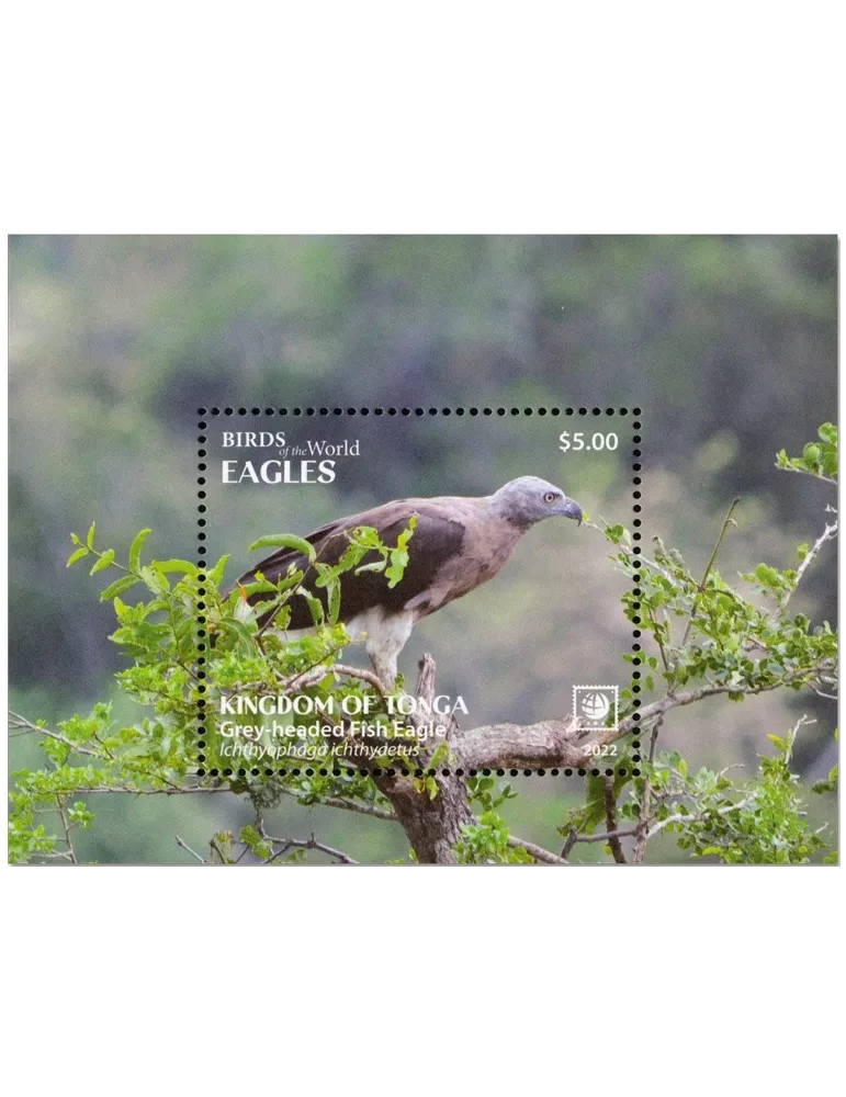 n° 128/131 - Timbre TONGA Blocs et feuillets