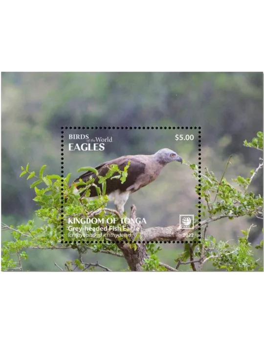 n° 128/131 - Timbre TONGA Blocs et feuillets