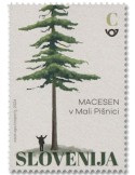 n° 1362 - Timbre SLOVENIE Poste
