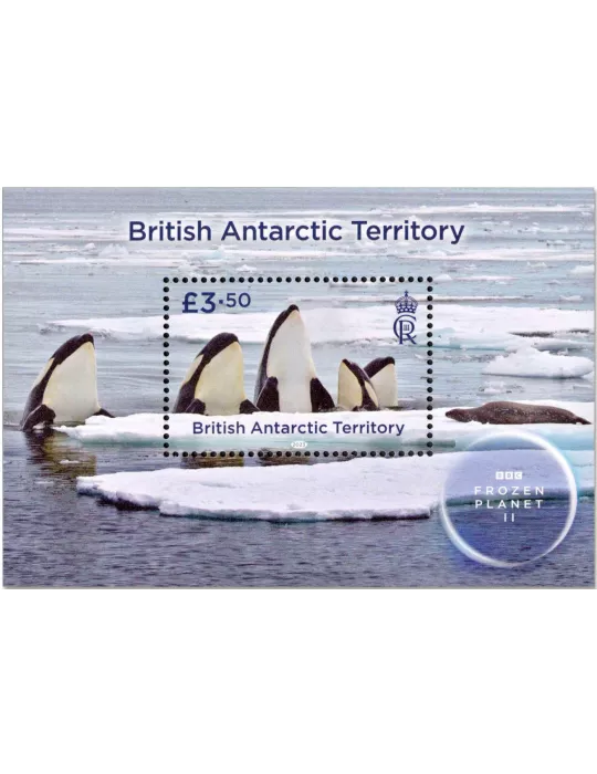 n° 31 - Timbre ANTARCTIQUE BRITANNIQUE Blocs et feuillets