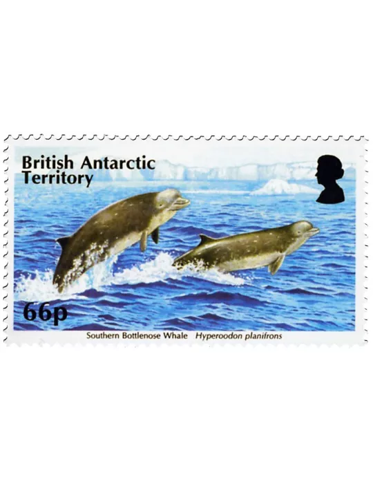 n° 660 - Timbre ANTARCTIQUE BRITANNIQUE Poste