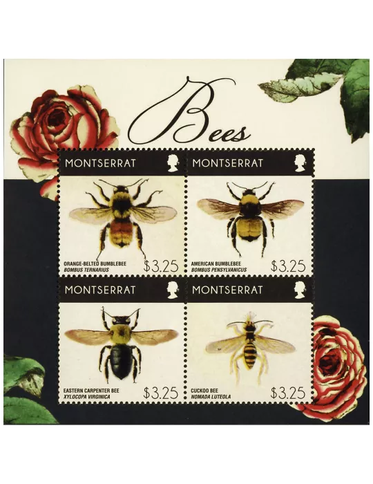 n° 1572 - Timbre MONTSERRAT Poste