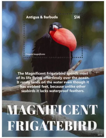 n° 830 - Timbre ANTIGUA Blocs et feuillets