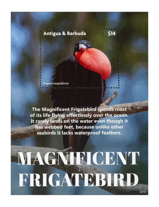 n° 830 - Timbre ANTIGUA Blocs et feuillets