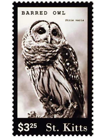 n° 1705 - Timbre SAINT-CHRISTOPHE Poste