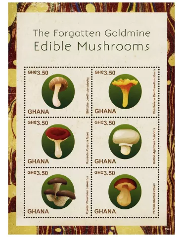 n° 3627 - Timbre GHANA Poste