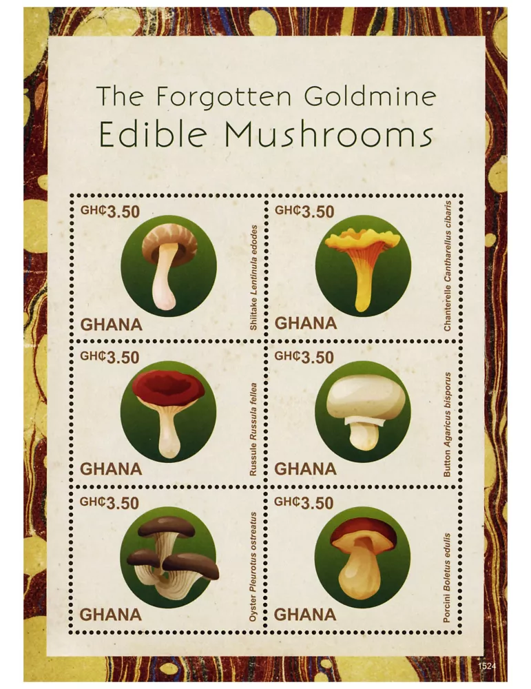 n° 3627 - Timbre GHANA Poste