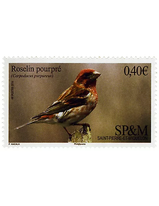 n°1148 - Timbre Saint-Pierre et Miquelon Poste