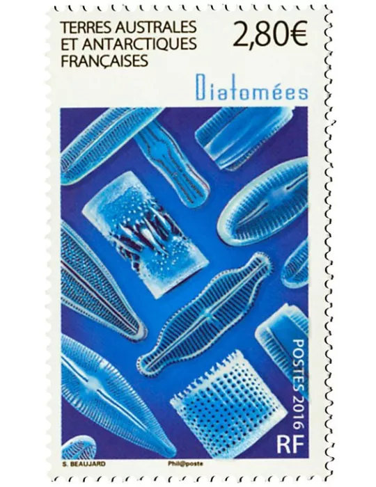 n° 768 - Timbre TAAF Poste