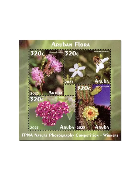 n° 20 - Timbre ARUBA Blocs et feuillets