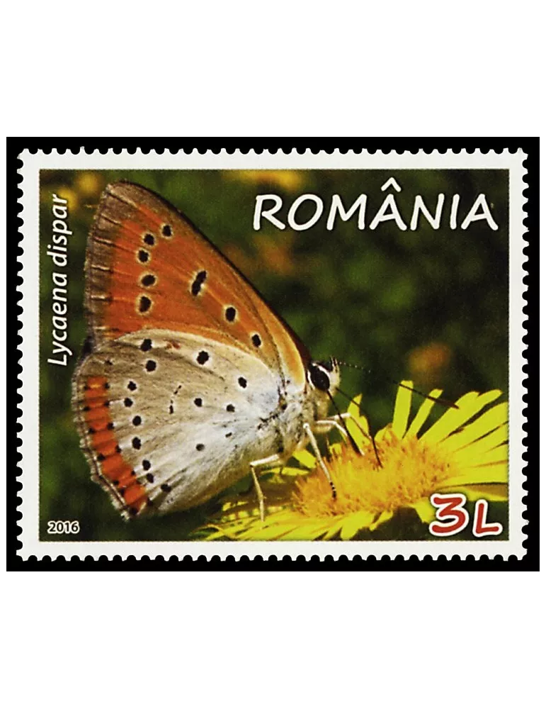 n° 6005 - Timbre ROUMANIE Poste