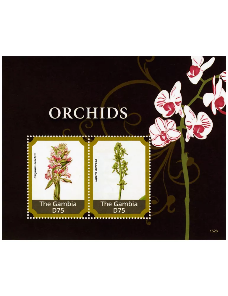 n° 853 - Timbre GAMBIE Blocs et feuillets