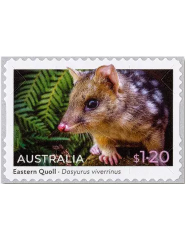 n° 5335a/5336a (la paire) - Timbre AUSTRALIE Poste