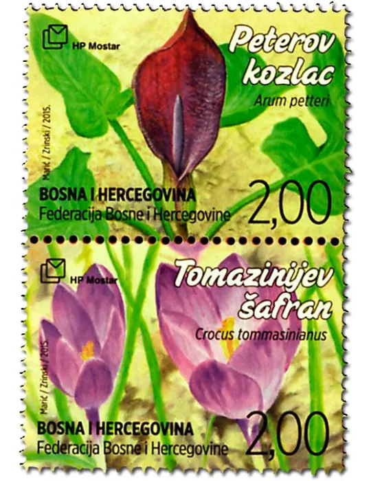 n° 383 - Timbre HERCEG-BOSNA Poste