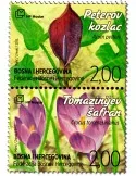 n° 383 - Timbre HERCEG-BOSNA Poste