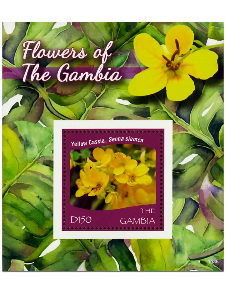 n° 868 - Timbre GAMBIE Blocs et feuillets