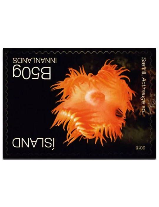 n° 1430 - Timbre ISLANDE Poste