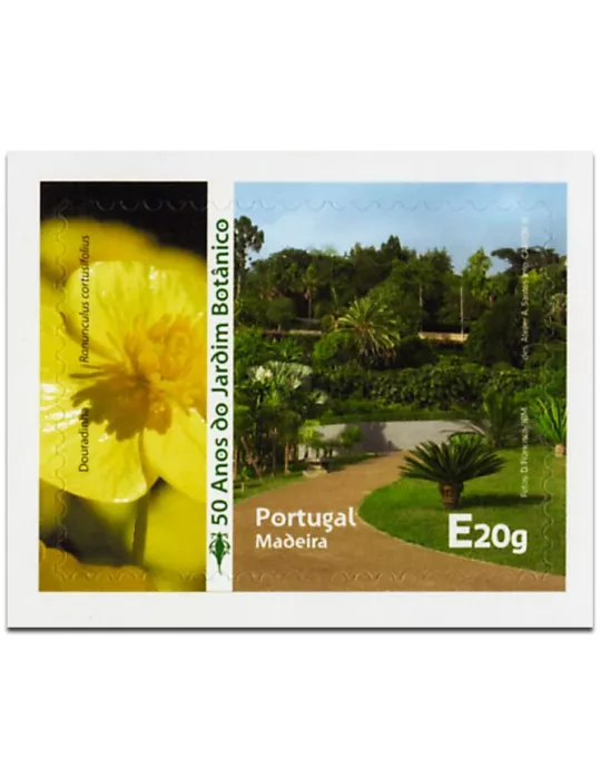 n° 373 - Timbre MADERE Poste