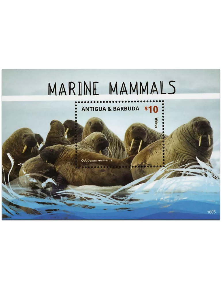 n° 749 - Timbre ANTIGUA Blocs et feuillets