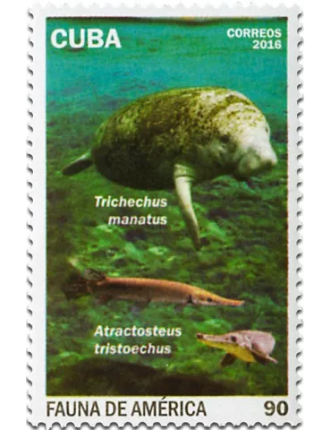 n° 5464A/5464D - Timbre CUBA Poste 2