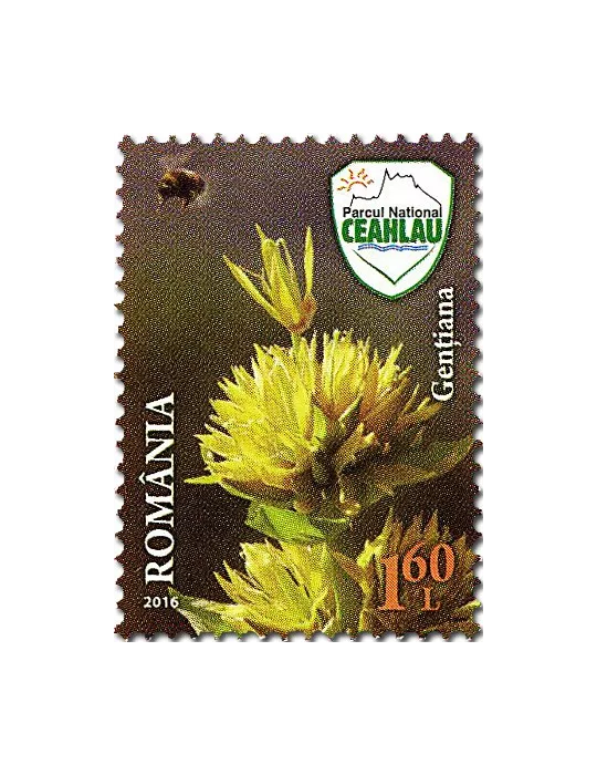 n° 6047 - Timbre ROUMANIE Poste