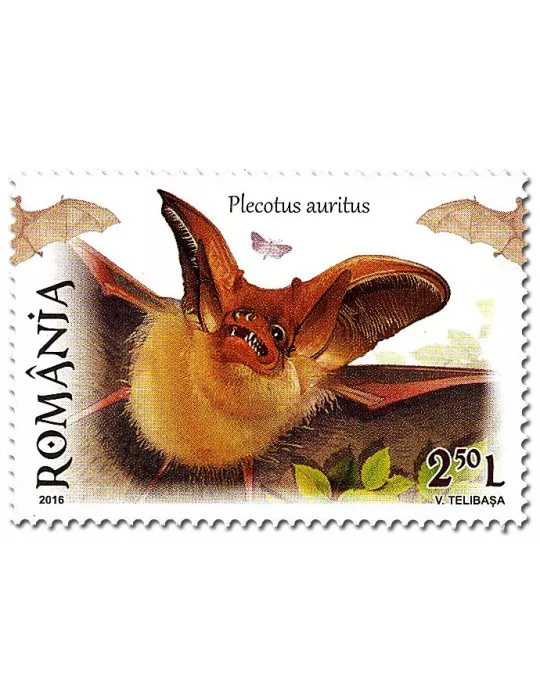 n° 6059 - Timbre ROUMANIE Poste