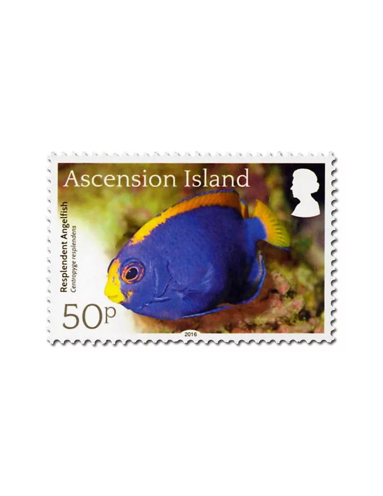 n° 1171 - Timbre ASCENSION Poste