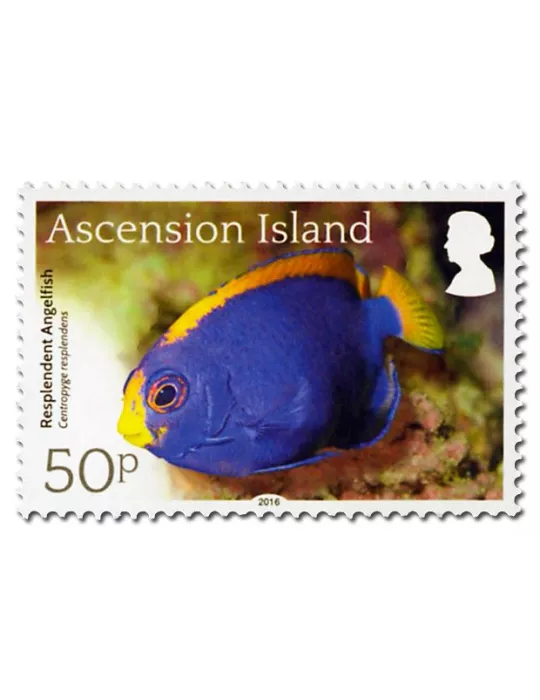 n° 1171 - Timbre ASCENSION Poste