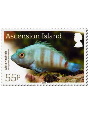 n° 1171 - Timbre ASCENSION Poste 2