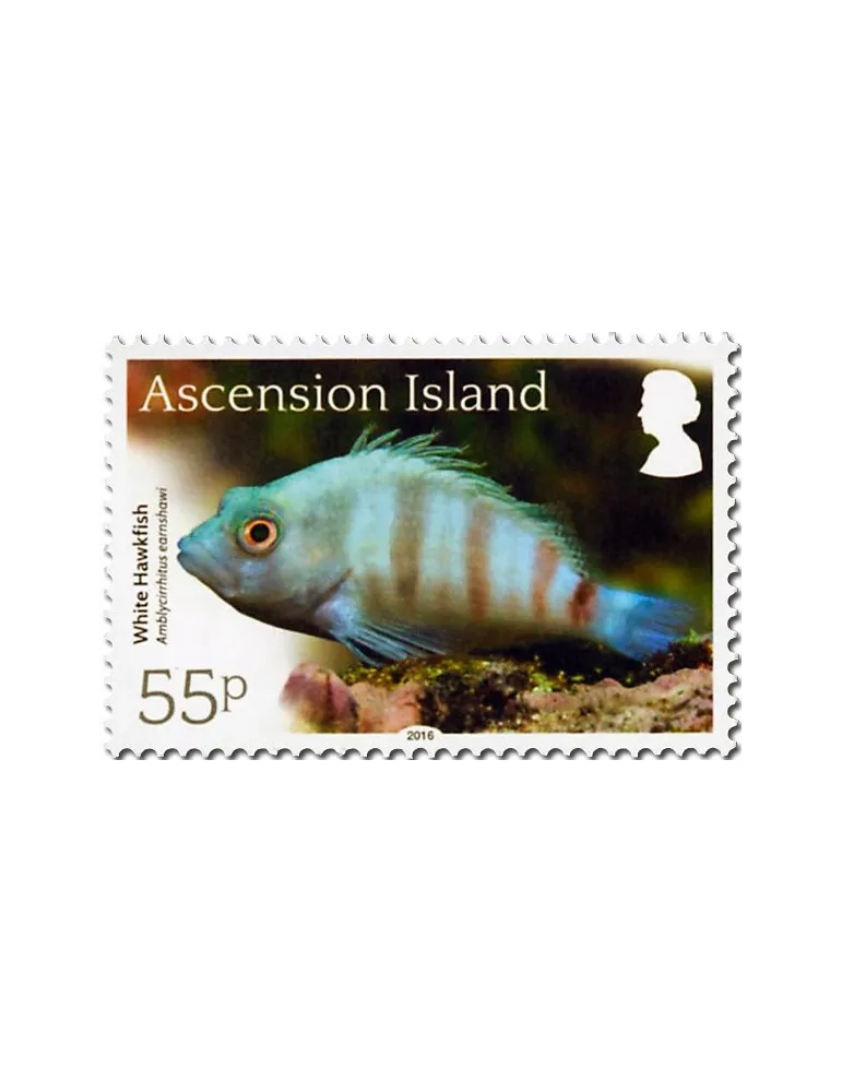 n° 1171 - Timbre ASCENSION Poste