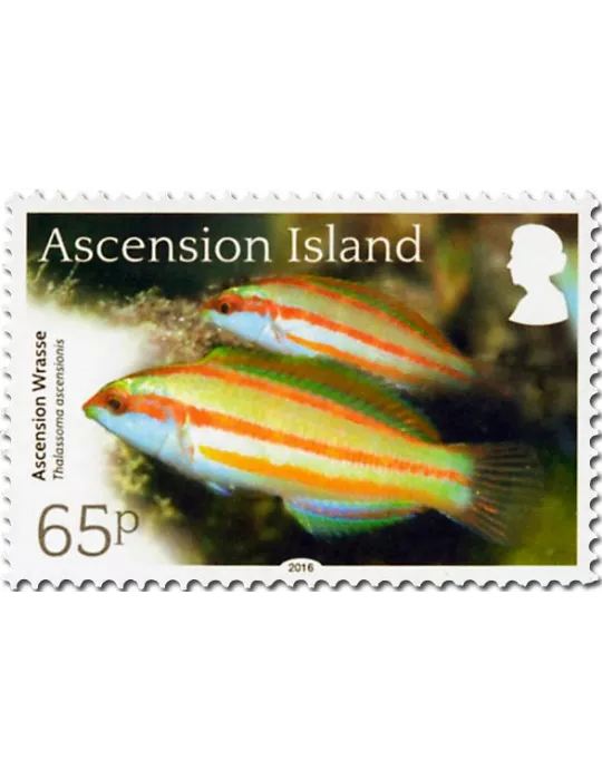 n° 1171 - Timbre ASCENSION Poste