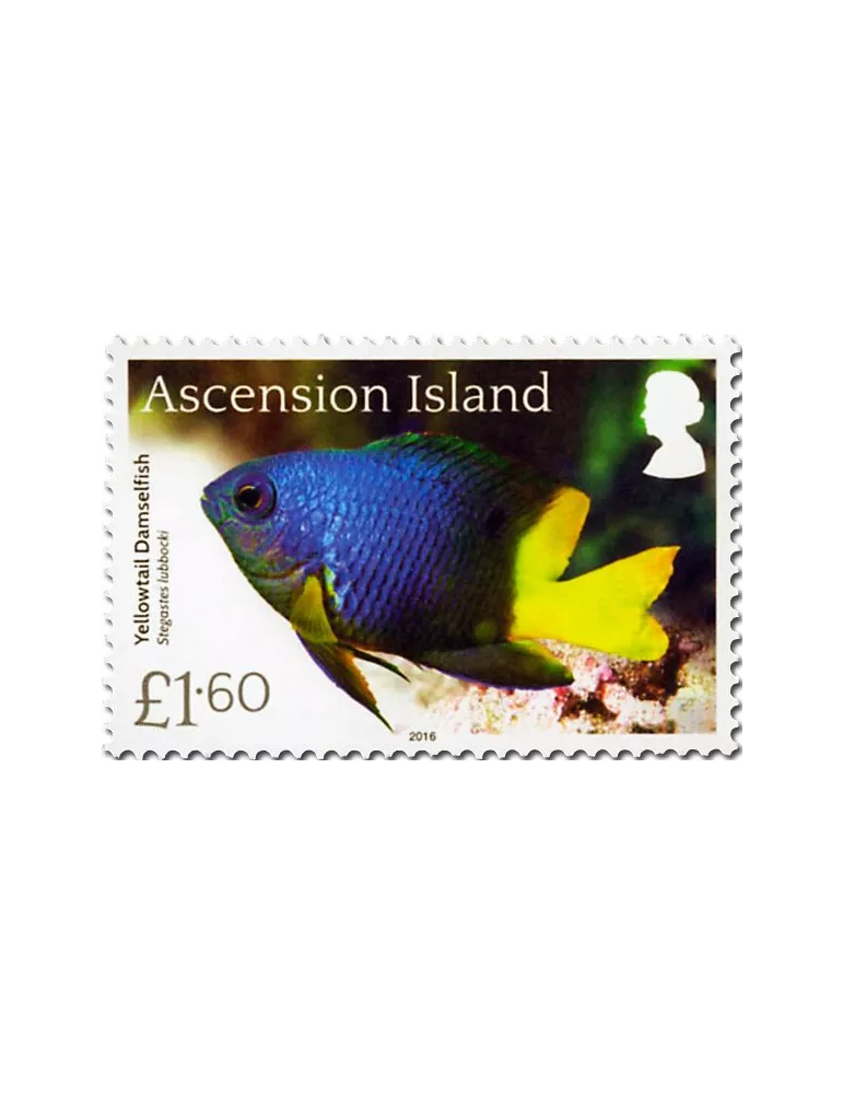 n° 1171 - Timbre ASCENSION Poste