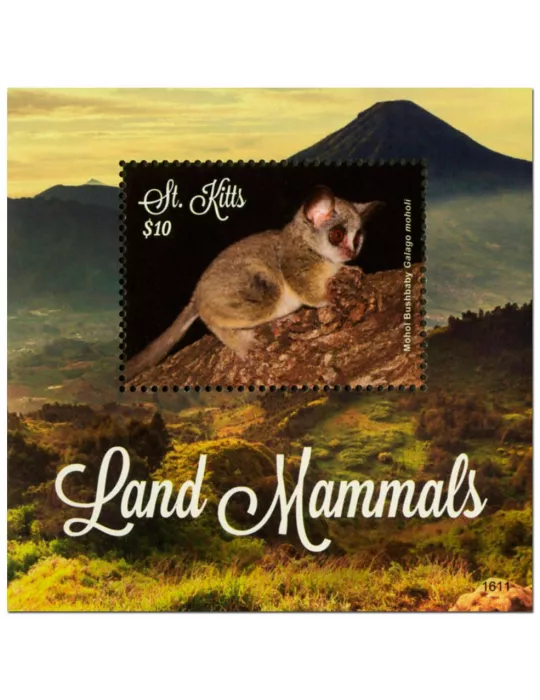 n° 163 - Timbre SAINT-CHRISTOPHE Blocs et feuillets