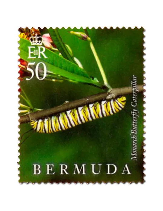 n° 1128 - Timbre BERMUDES Poste