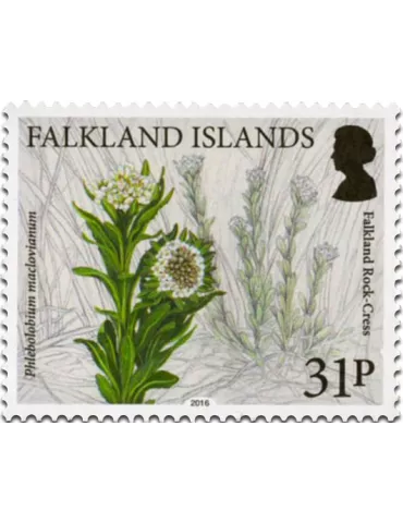n° 1237 - Timbre FALKLAND Poste