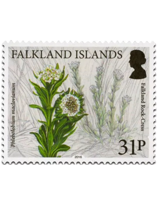 n° 1237 - Timbre FALKLAND Poste