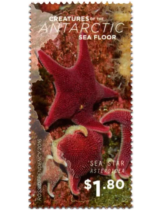 n° 156/160 - Timbre ROSS Poste