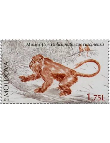 n° 850 - Timbre MOLDAVIE Poste 2