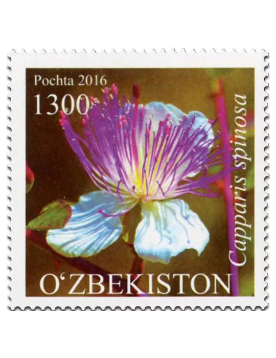 n° 992 - Timbre OUZBEKISTAN Poste