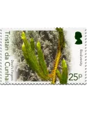 n° 1158 - Timbre TRISTAN DA CUNHA Poste