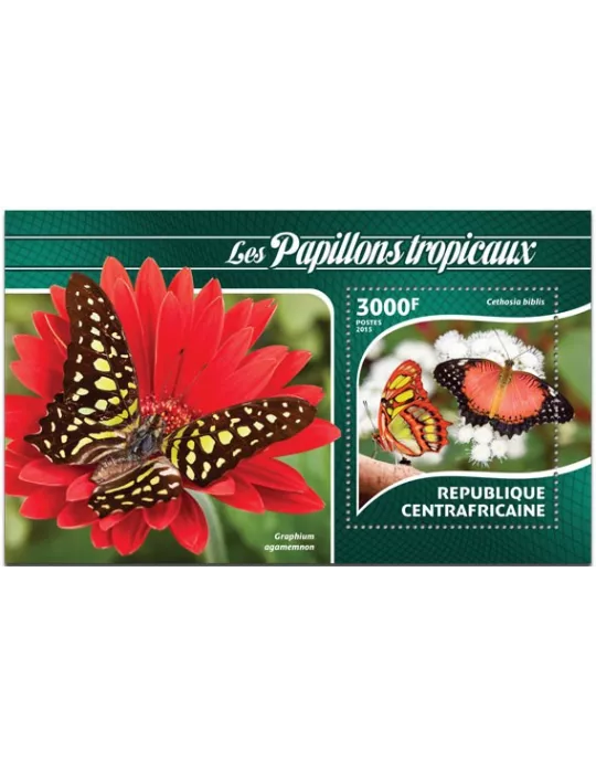 n° 795 - Timbre CENTRAFRIQUE Blocs et feuillets