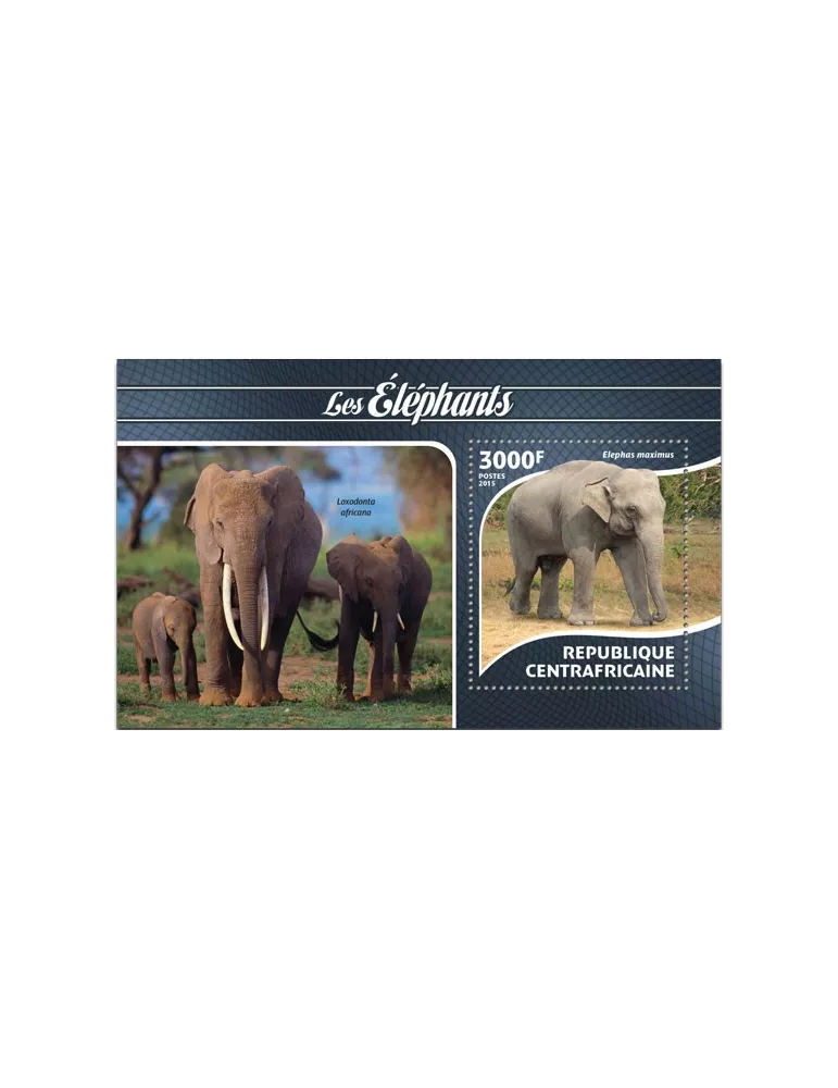 n° 811 - Timbre CENTRAFRIQUE Blocs et feuillets