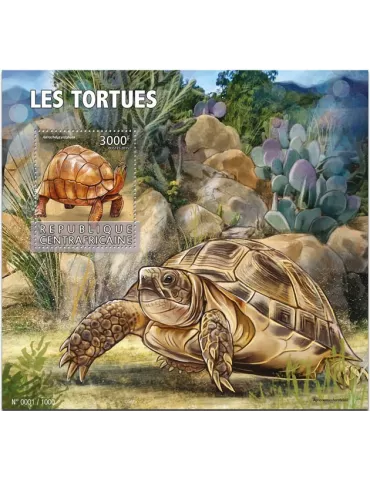 n° 900 - Timbre CENTRAFRIQUE Blocs et feuillets