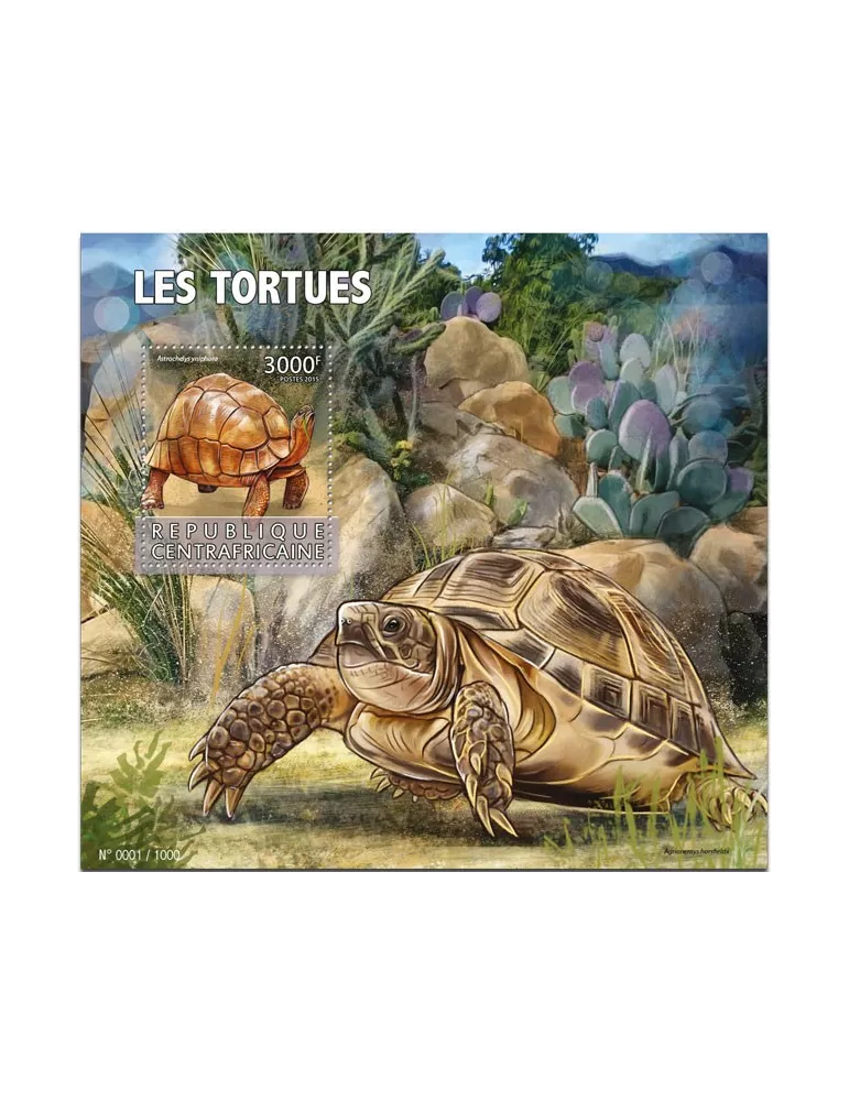 n° 900 - Timbre CENTRAFRIQUE Blocs et feuillets